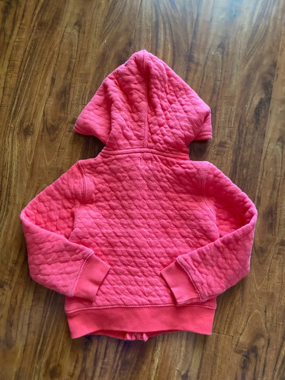 GAP Toddler Girls Watermelon + Blue Floral Hooded Zip Up Sweatshirts Size 2T